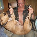 ���� �������� �����������, �������� - ��������� 15 ������� 2013 � ������ ���� ����������