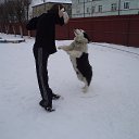 ���� ���������, �����������, 37 ��� - ��������� 4 ������ 2014 � ������ ���� ����������