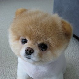 ����, �����, 52 ����