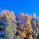 ���� �����, ���������, 64 ���� - ��������� 1 �������� 2013 � ������ ����������