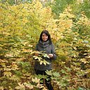 ���� ����, �������, 53 ���� - ��������� 10 ������� 2013 � ������ ���� ����������