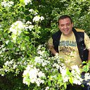 ���� ������, ������������, 50 ��� - ��������� 15 ������� 2013 � ������ ���� ����������