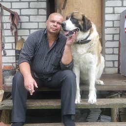 ���� Alexandr Vinogradov, ������, 60 ��� - ��������� 25 �������� 2013