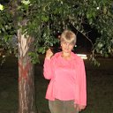 ���� ���������, ������ - ��������� 16 �������� 2013