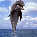 ���� �����, ����, 42 ���� - ��������� 30 ������ 2013 � ������ ������ ��������