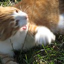 ���� ���������, ���������� - ��������� 13 ������� 2013 � ������ ������