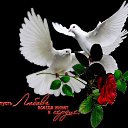 ���� �������, ������, 59 ��� - ��������� 24 ������� 2013 � ������ ���� ����������