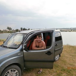 ���� ���������, ���, 39 ��� - ��������� 6 �������� 2013