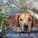 ���� ����, ��������� - ��������� 27 ������� 2014 � ������ ������ ��������