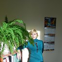 ���� �����, ����������� - ��������� 7 ������� 2013 � ������ ���� ����������