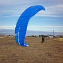 ���� �����, �����, 44 ���� - ��������� 17 ������� 2013 � ������ ���� ����������