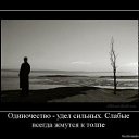 ���� ���������, ������, 57 ��� - ��������� 30 ������� 2013 � ������ ���� ����������