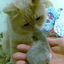 ���������� ������� � ����� �� ������� ���� ������� ������