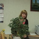 ���� ������, ������, 45 ��� - ��������� 5 ������� 2014 � ������ ���� ����������