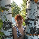 ���� �����, �����, 46 ��� - ��������� 31 ������� 2013 � ������ ���� ����������