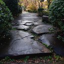 ���� �������, ������, 54 ���� - ��������� 16 ������ 2014 � ������ �������� �����