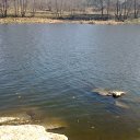 ���� Tarik, ���� - ��������� 11 ����� 2014 � ������ ���� ����������