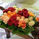 ���� ������, ������, 59 ��� - ��������� 4 ����� 2014 � ������ ������ ��������