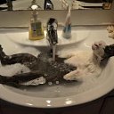 ���� �����, �������, 50 ��� - ��������� 23 ������� 2013 � ������ ���� ����������