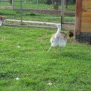 ���� ������, ������, 64 ���� - ��������� 21 �������� 2013 � ������ �� ����� ���� "�������" 18.09.2013�