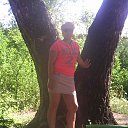 ���� �����, �����, 43 ���� - ��������� 27 ������� 2013 � ������ ����