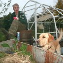 ���� ����, �����-���������, 41 ��� - ��������� 18 ������ 2013 � ������ ���� ���� ������