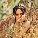 ���� �������, �����, 29 ��� - ��������� 11 ������� 2013 � ������ ���� ����������