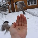 ���� ������, ������, 63 ���� - ��������� 25 �������� 2013 � ������ ���� ������� ���....�