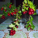 ���� �����, �������� - ��������� 16 �������� 2013 � ������ �߻