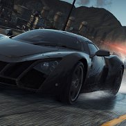 �����, 44 ����, ��������