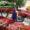 begonia �� ������� ����� ��� ������������