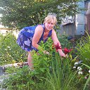 ���� �����, �����-���������, 63 ���� - ��������� 10 ������� 2013 � ������ ���� ����������