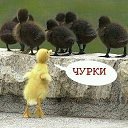 ���� ����33333, ����, 41 ��� - ��������� 3 ������ 2013 � ������ ���� ����������