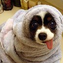 ���� ����, ��������, 22 ���� - ��������� 21 ������� 2013 � ������ ���� ����������