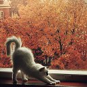 ���� ������, ������ - ��������� 3 ����� 2014 � ������ ������ ��������