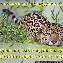 ���� �����, ������, 55 ��� - ��������� 12 ����� 2014 � ������ ������ ��������