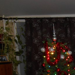 ����, ��������, 85 ���