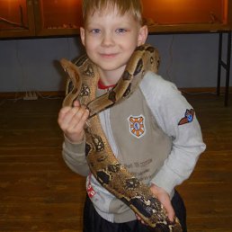 ����, ��������, 21 ���