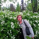 ���� �����, �����-���������, 53 ���� - ��������� 14 ����� 2014 � ������ ���� ����������