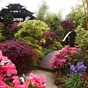 ���� �e� �, ������, 55 ��� - ��������� 8 ������� 2013 � ������ ����� �� ����