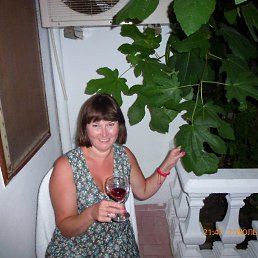 ���� �������, �����-��������� - ��������� 14 ������� 2013