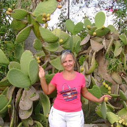 ���� ���������, ������, 54 ���� - ��������� 25 �������� 2013