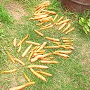 ���� ������, ������ - ��������� 16 ������� 2014 � ������ ���� ����������