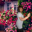 ���� ���������, ����������� - ��������� 17 ������ 2013 � ������ ���� ����������