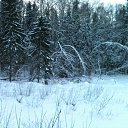 ���� ���������, ������� �����, 43 ���� - ��������� 23 ������ 2014 � ������ �������