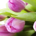 ���� �����, ���� - ��������� 9 ����� 2014 � ������ ���� ����������