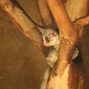  , -, 40  -  25  2013    2013