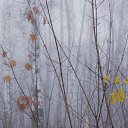 ���� ������ 72, ������������, 53 ���� - ��������� 30 ������� 2013 � ������ ������� �������