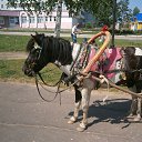 ���� ������, ���������, 70 ��� - ��������� 31 ������� 2013 � ������ ������ ��������