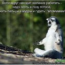 ���� ����, ����, 85 ��� - ��������� 3 ������ 2014 � ������ ��������������